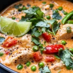 Homemade Thai Coconut Curry Chicken Soup photo