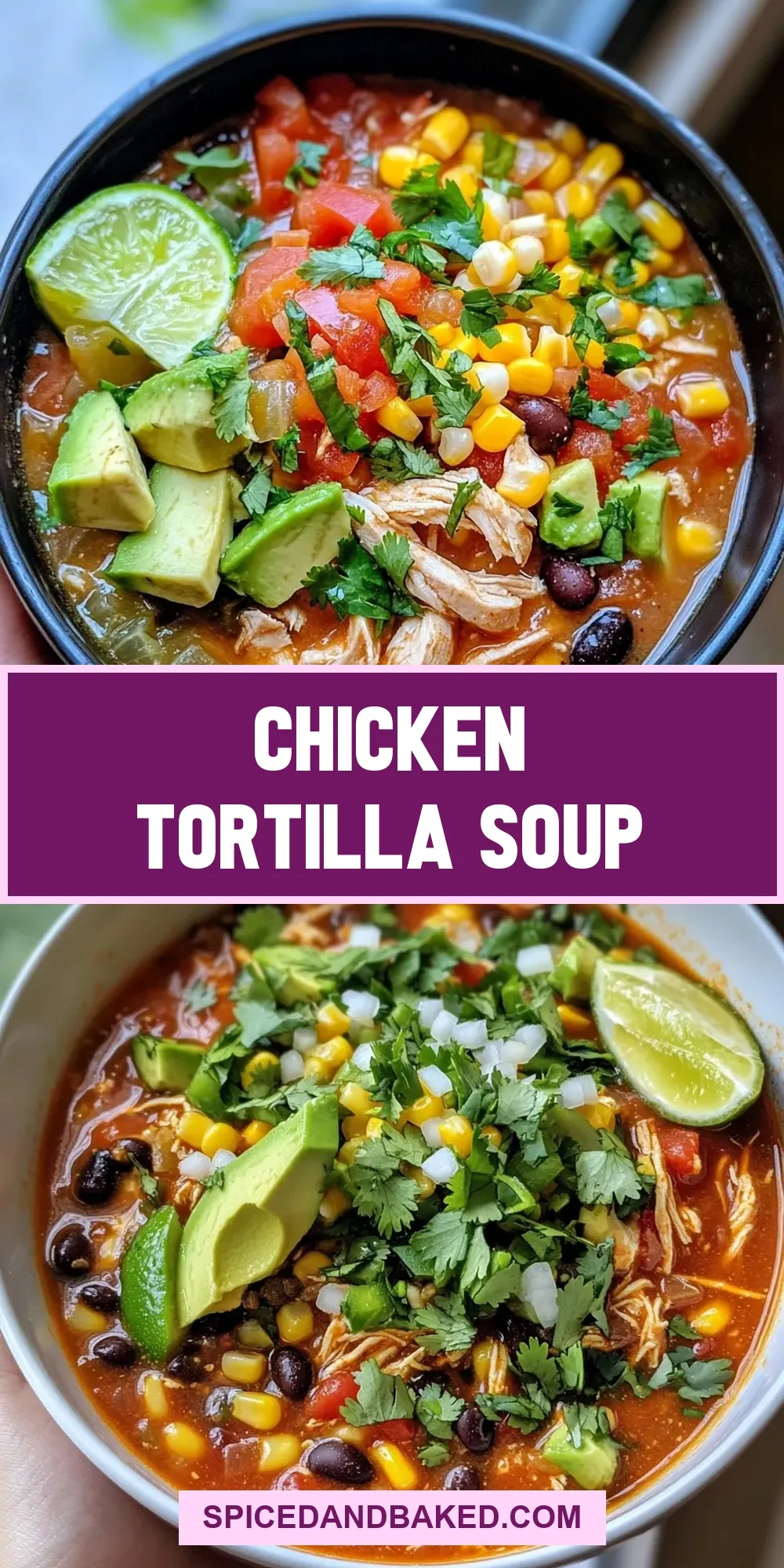 Chicken Tortilla Soup Recipe