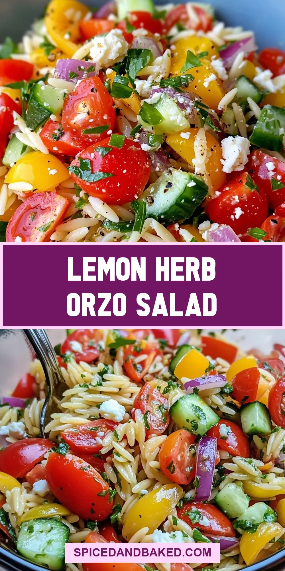 The Best Lemon Herb Orzo Salad Ever