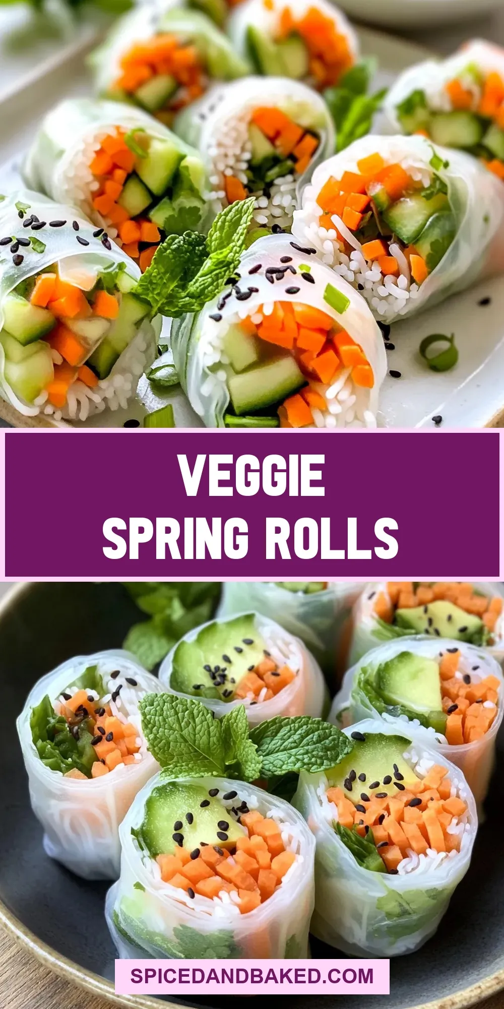 The Best Veggie Spring Rolls