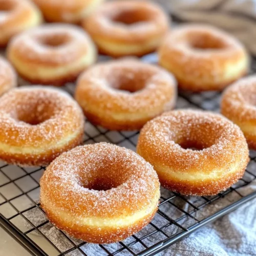 Homemade Baked Churro Donuts with Cinnamon Sugar photo