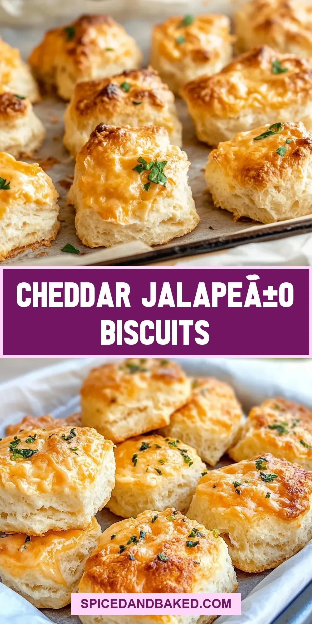Cheddar Jalapeã±O Biscuits Recipe