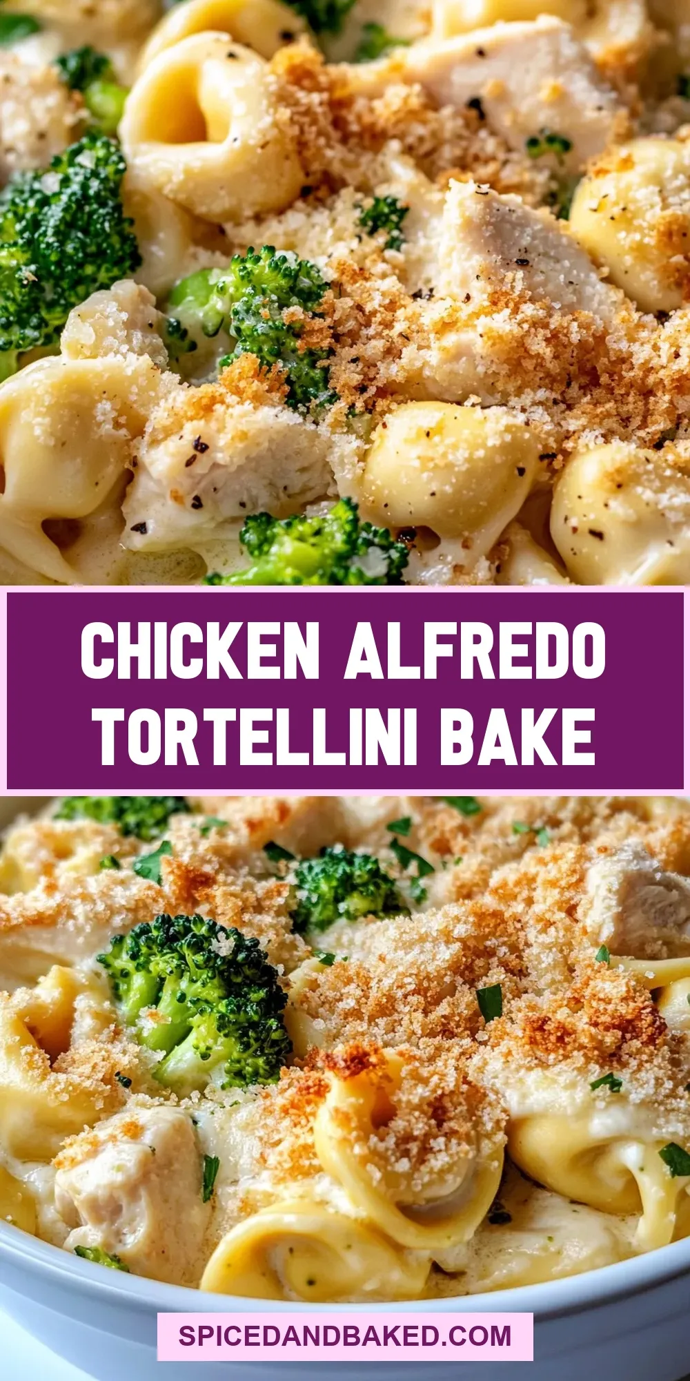Chicken Alfredo Tortellini Bake Recipe