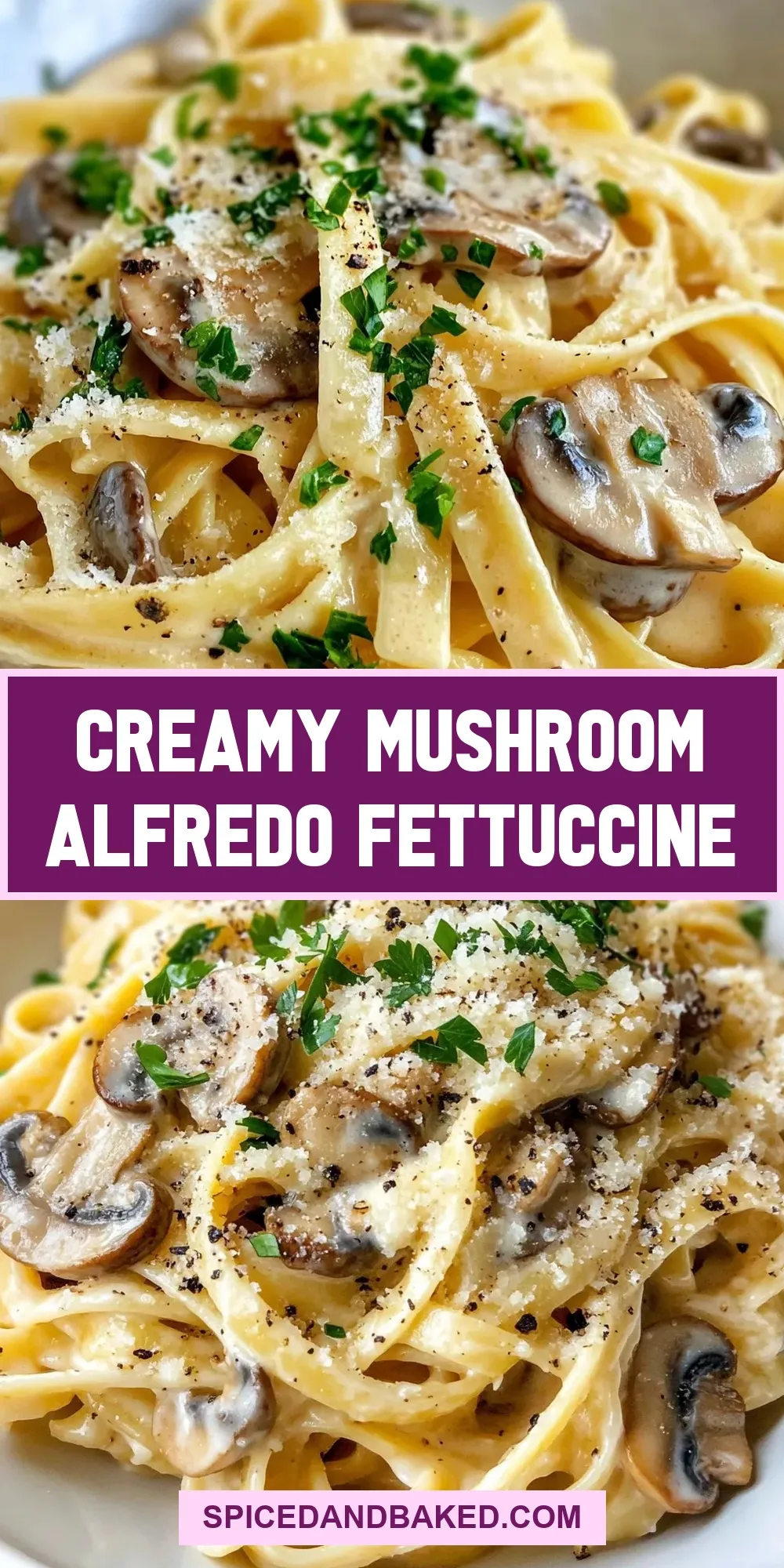 Easy Creamy Mushroom Alfredo Fettuccine Recipe