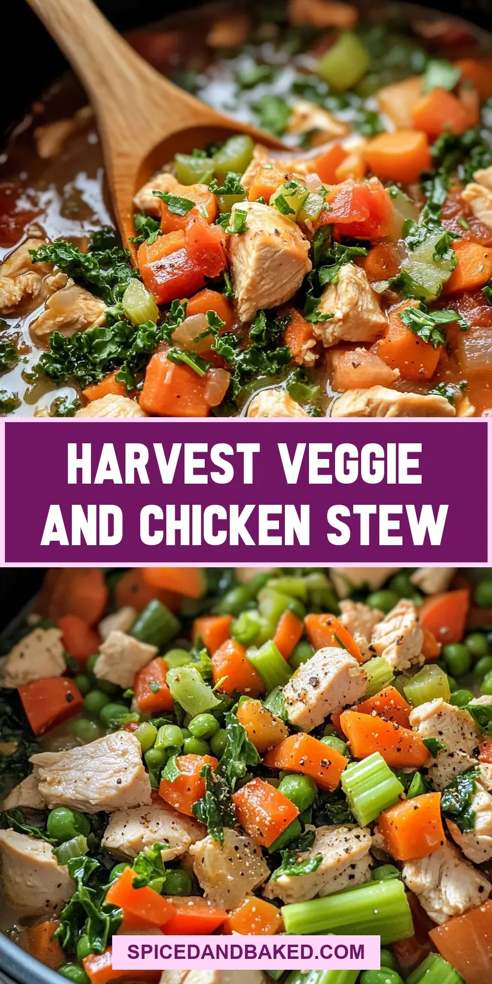 The Best Harvest Veggie And Chicken Stew Ever