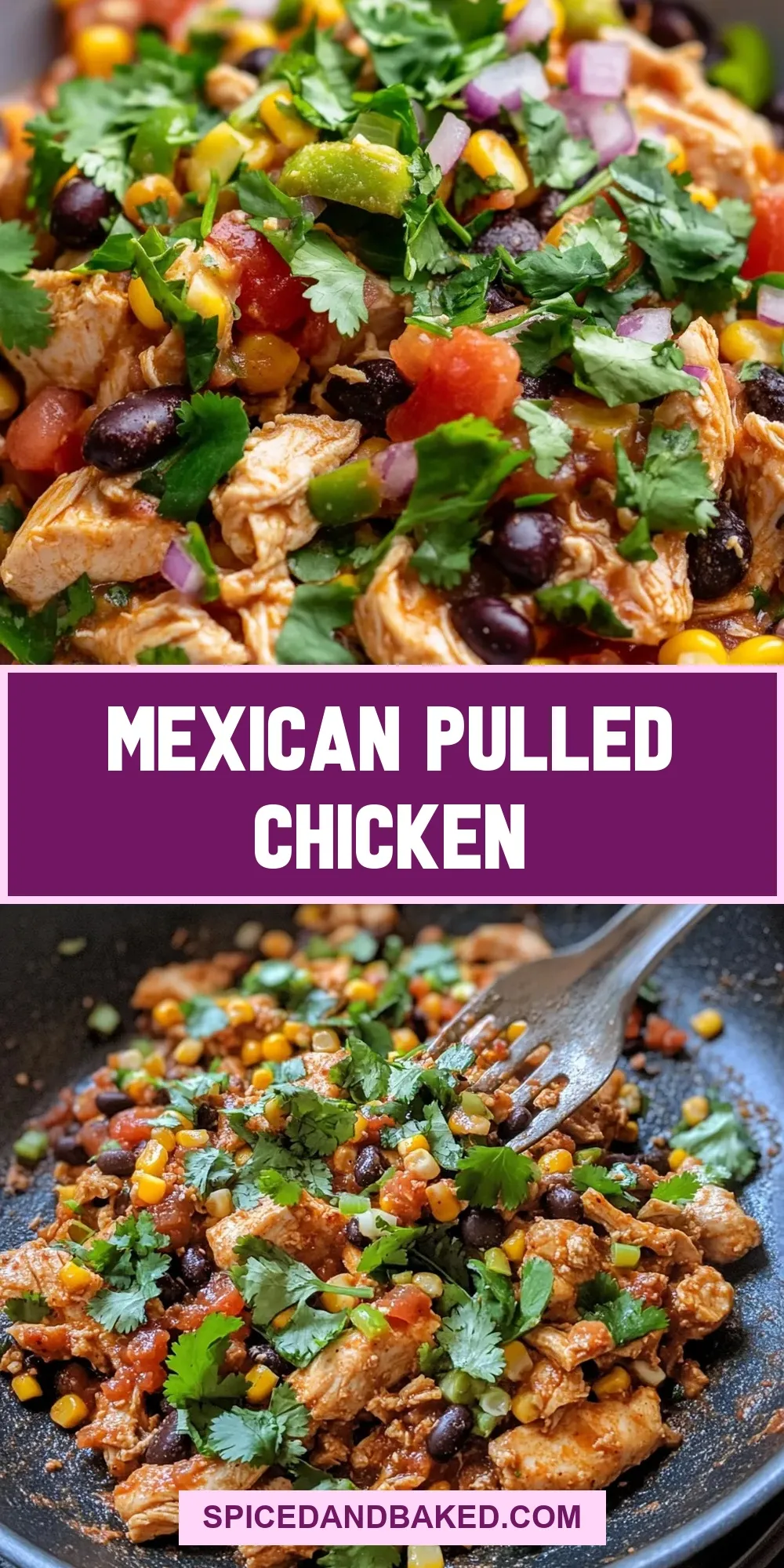 The Best Mexican Pulled Chicken Ever