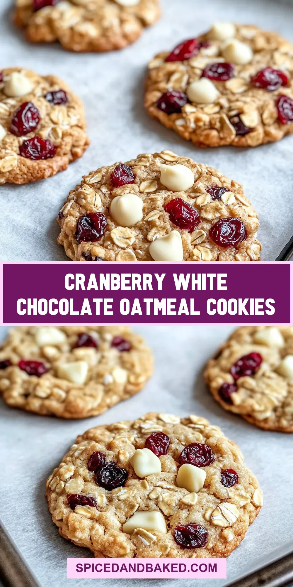Cranberry White Chocolate Oatmeal Cookies (Delicious & Delicious)