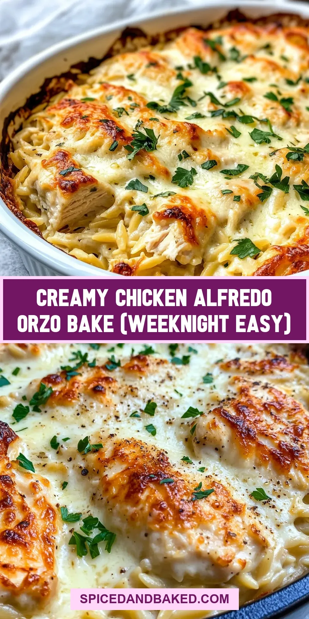 The Best Creamy Chicken Alfredo Orzo Bake (Weeknight Easy) Ever