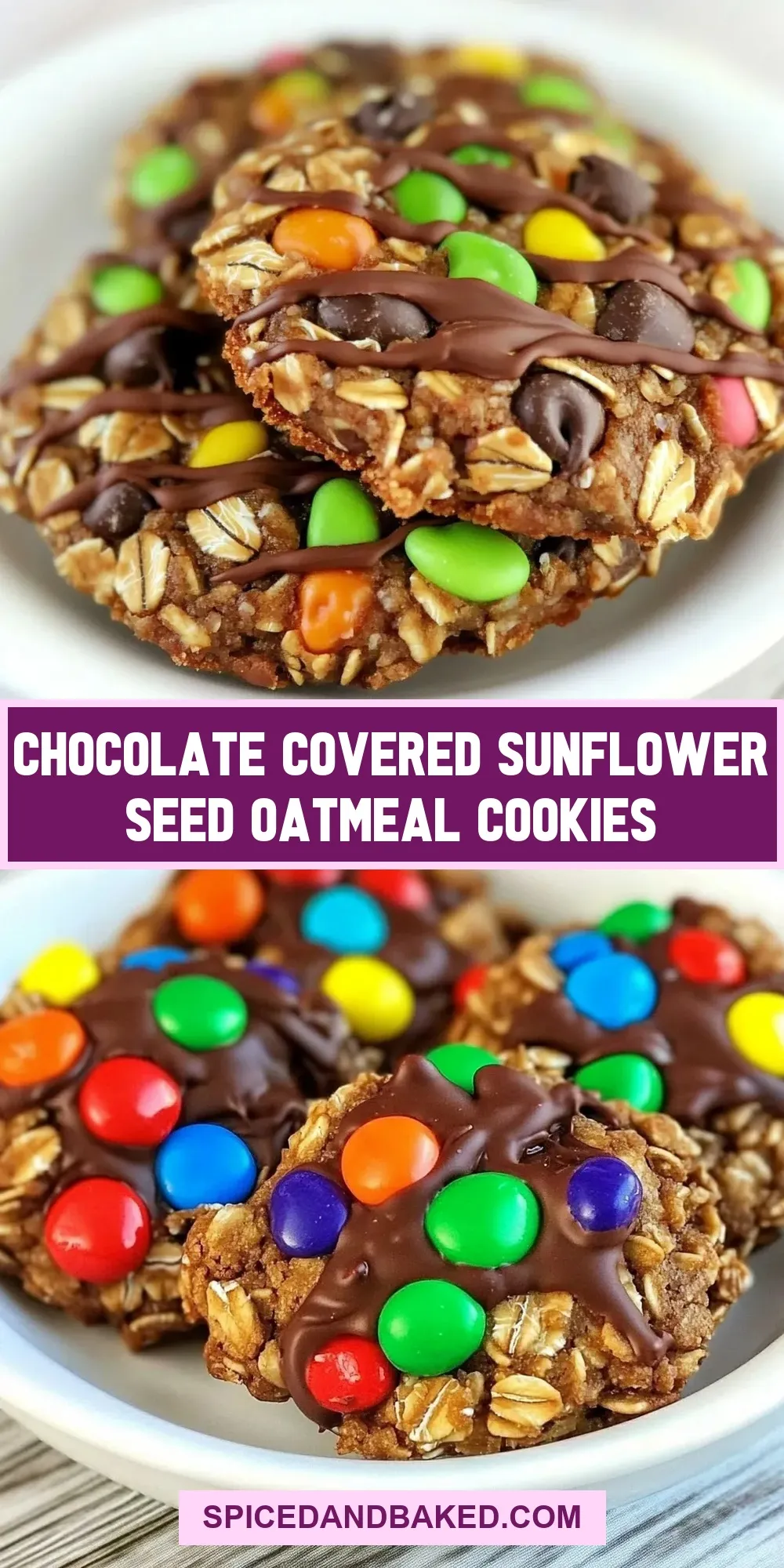 Easy Chocolate Covered Sunflower Seed Oatmeal Cookies Recipe