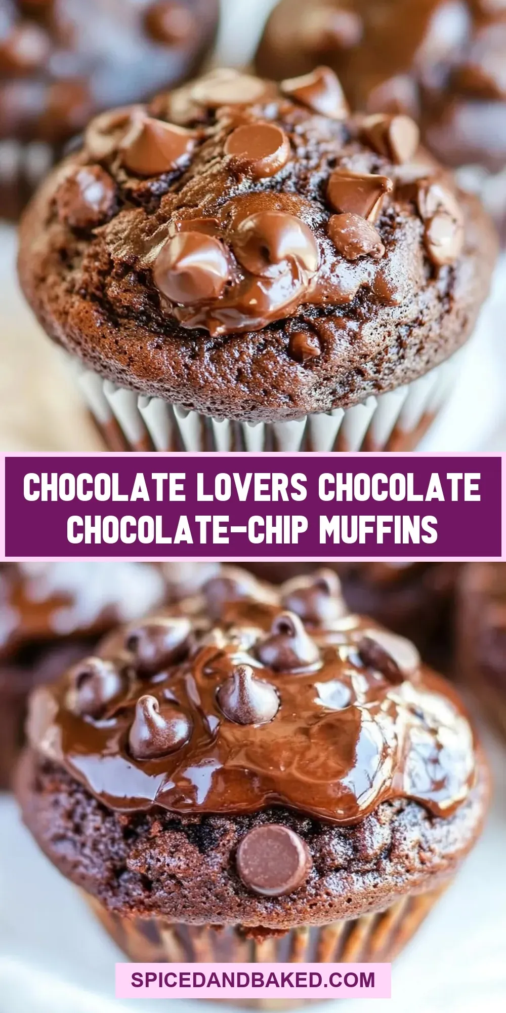 How To Make Easy Chocolate Lovers Chocolate Chocolate-Chip Muffins