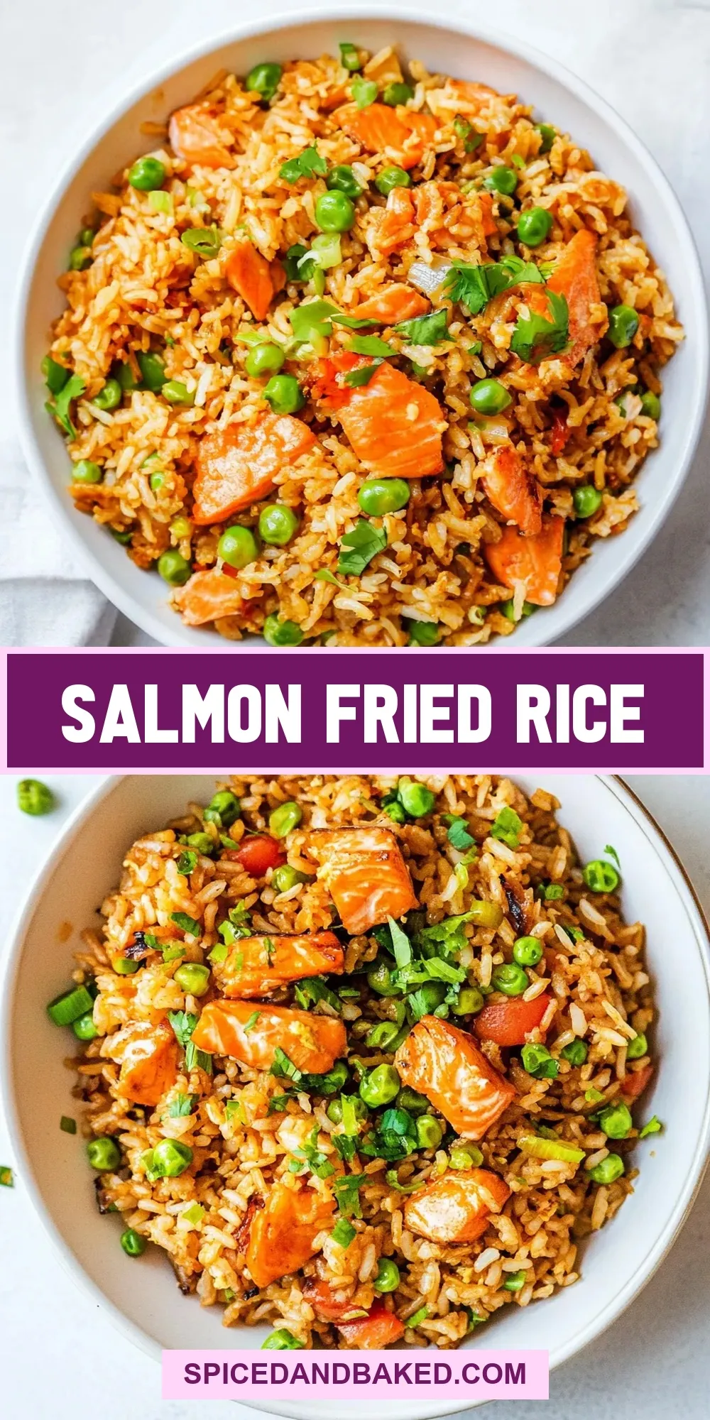 Salmon Fried Rice Recipe