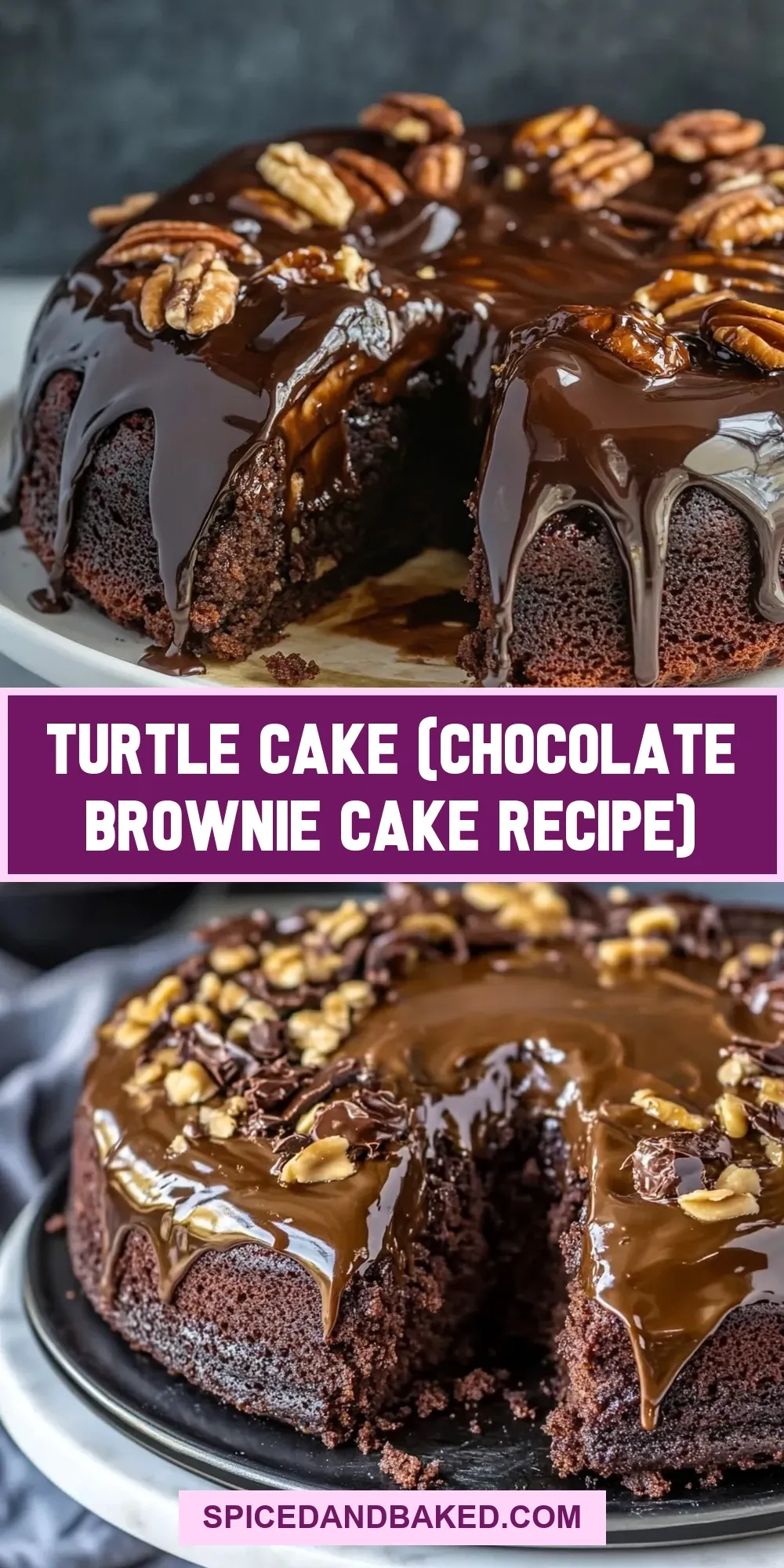 Amazing Turtle Cake (Chocolate Brownie Cake )