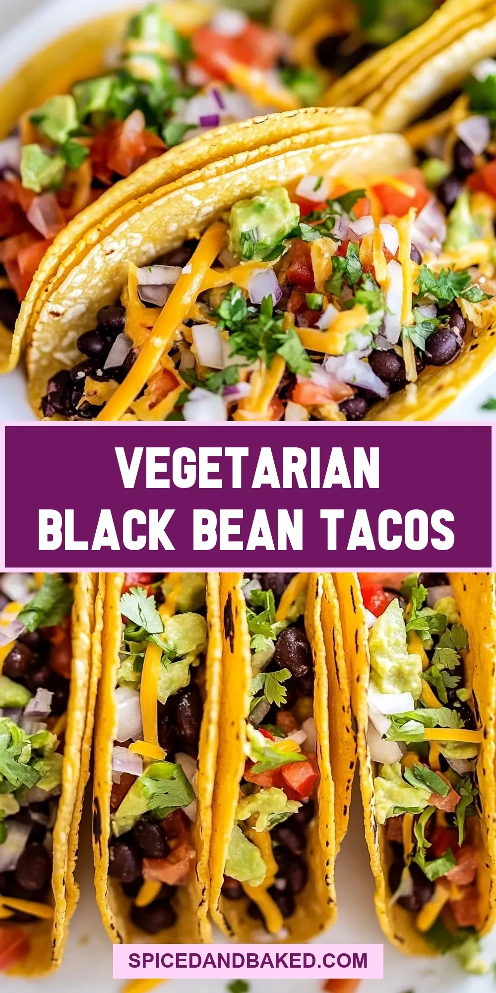 The Best Vegetarian Black Bean Tacos Ever