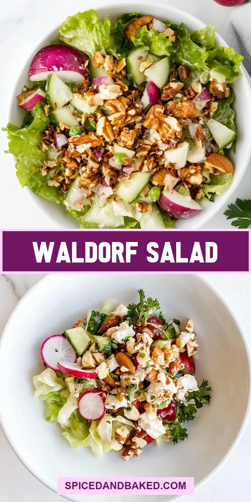 Waldorf Salad (Delicious & Delicious)