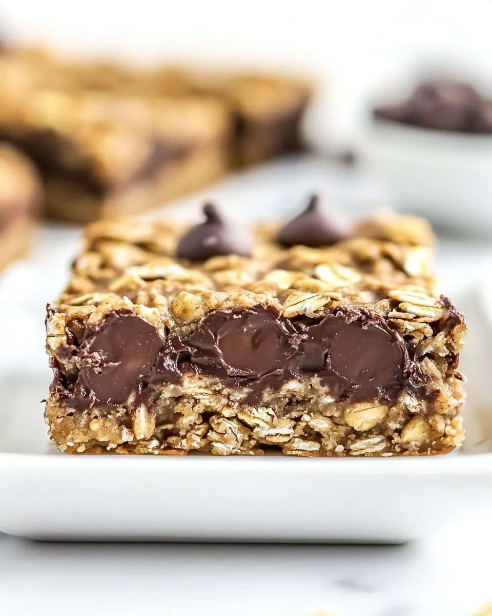 Delicious Chocolate Chip Peanut Butter Oatmeal Bars shot
