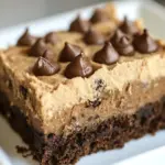 Homemade Cookie Butter Brownies photo