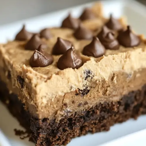 Homemade Cookie Butter Brownies photo