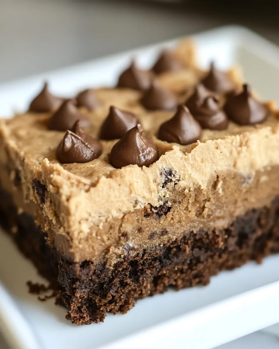 Homemade Cookie Butter Brownies photo
