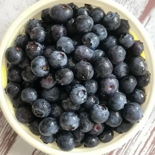 Easy How to Freeze Blueberries photo