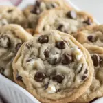 Homemade Ice Cream Chocolate Chip Cookies photo